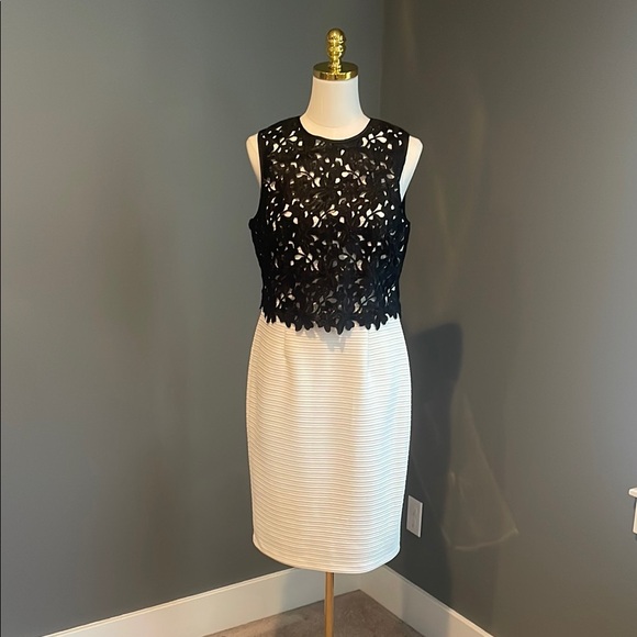 Joanna Chen Dresses & Skirts - Elegant Black and White Sleeveless Dress